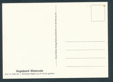 Preview: Lüneburger Heide